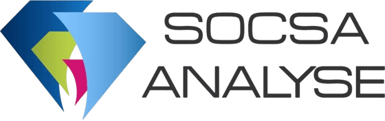 SOCSA Analyse